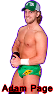 Adam Page, Pro Wrestling